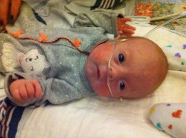 10988529_1550437925216975_5273681231519670679_n